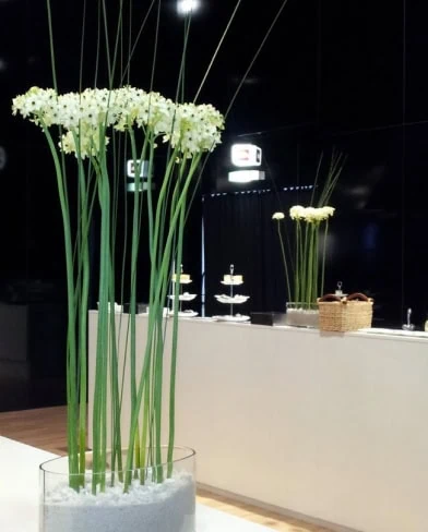 Floristik - Event und Messe